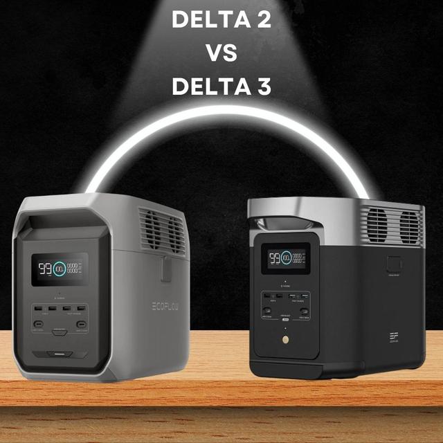 EcoFlow DELTA 2 чи EcoFlow DELTA 3