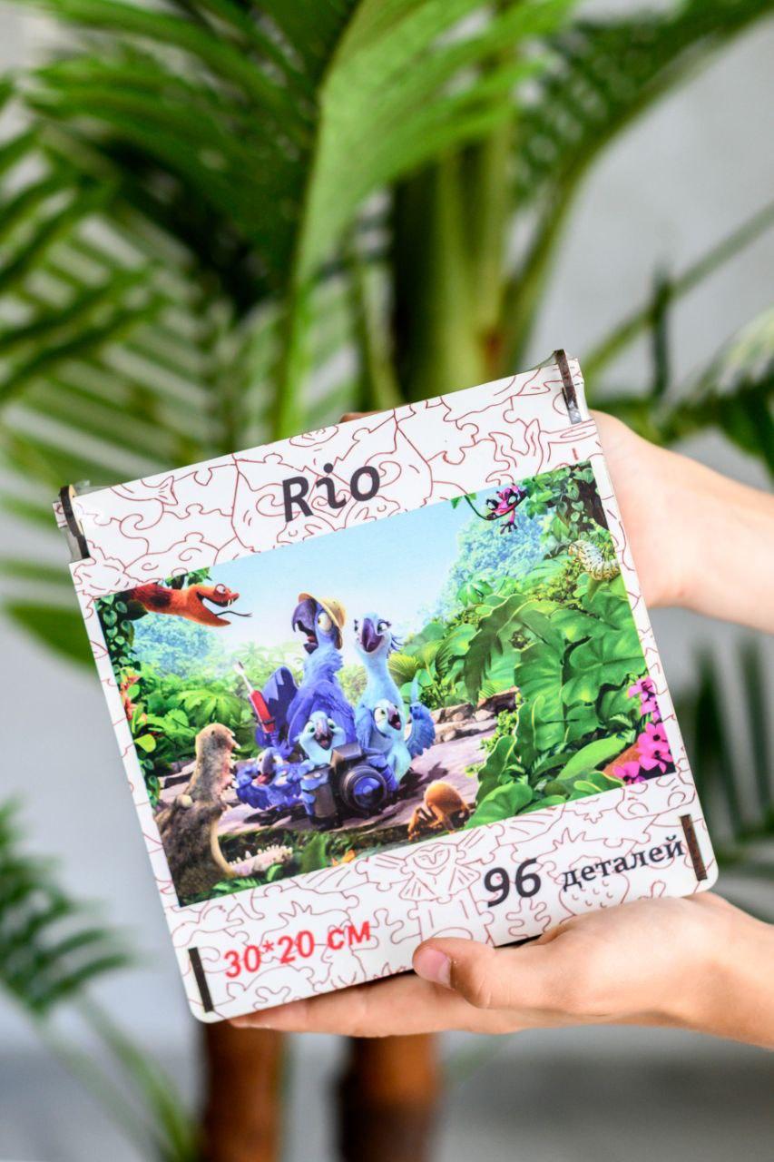 Дитячі дерев'яні пазли різні види