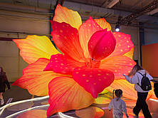 Надувна декорація квітка 6 м із підсвіткою для сцени та виставок, фото 2