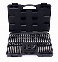 Набір шестигранних ключів 75ел. TORX SPLINE RIBE KD10954 в пластиковій валізі, фото 3