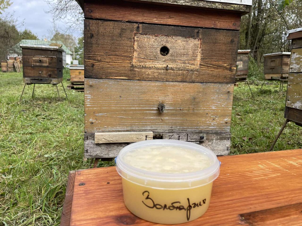 Мед карпатський "Золотарник", 500мл., фото 1