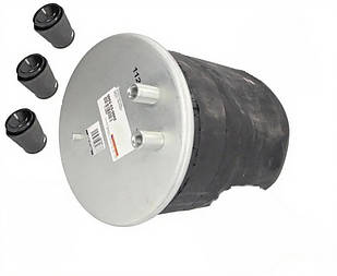 Пневмоподушка Renault Magnum 5010294307