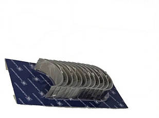 Вкладки шатунні DAF XF 105 Євро 5, XF CF 85 75 запчастин для двигуна Даф