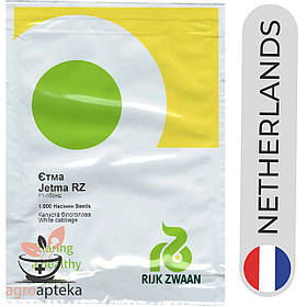 Капуста Етма F1 Rijk Zwaan 1000 нас