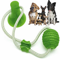 Іграшка для собак м'яч на мотузці з присоск EL-1126, Зелена / Багатофункціональна іграшка для вихованців