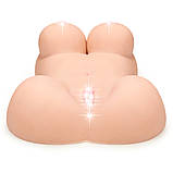 Реалістичний мастурбатор з об'ємними грудьми та привабливими формами Feel Me Bare Tits & Pussy Masturbator, фото 5