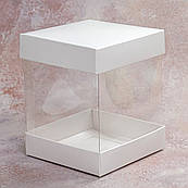 Упаковка Акваріум 100*100*120 Kor