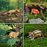 Розвиваючий набір міні фігурки Тварини джунглів і зоопарку (12 шт) від Toymany, фото 6