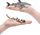 Розвиваючий набір міні фігурки Акули (8 шт) від Toymany, фото 3