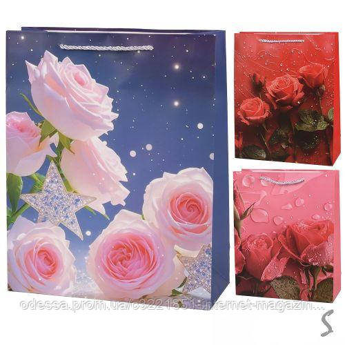 Пакет подарунковий паперовий S "Roses" 18*24*8.5см [Склад зберігання: Одеса №3]