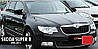 Накладки на дзеркала BMW-Style (2 шт) для Skoda Superb 2009-2015 рр, фото 5
