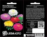 АЙСТРА ПРИНЦЕСА, СУМІШ, ХРИЗАНТЕМОВИДНА 0,2 Г (LEDA AGRO), фото 2