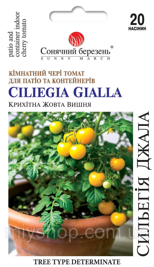Томат карліковий Сільєгія Джала 20 шт Сонячний березень, фото 1