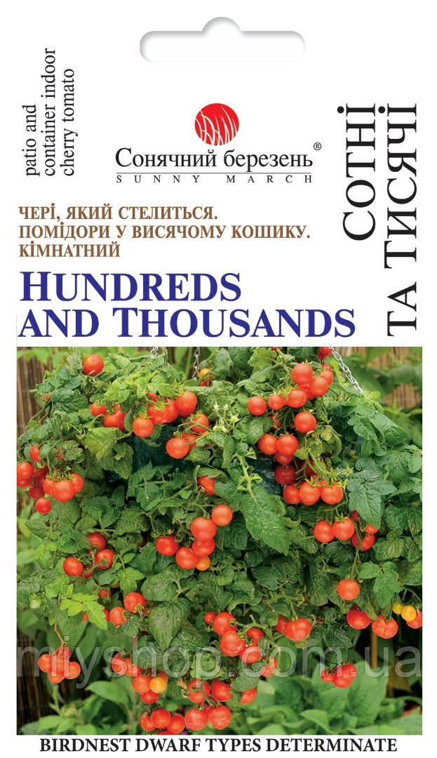 Томат кімнатний Сотні та тисячі 20 шт Сонячний березень, фото 1