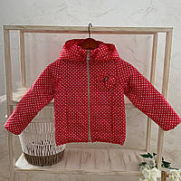 Куртка Дівчинка Весна Осінь Червоний арт.91450474 Staccato Зріст 122-60(р)
