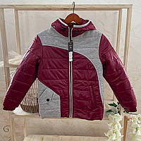 Куртка "Барбарис" Весна-Осінь з капюшоним Бордивий Плащівка арт.91450496 Зріст 140-68(р)