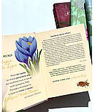 Квітка істини. Зростай у вірі разом з жінками Біблії. Жіночий біблійний записник (червоний), фото 4