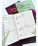 Квітка істини. Зростай у вірі разом з жінками Біблії. Жіночий біблійний записник (червоний), фото 5