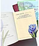 Квітка істини. Зростай у вірі разом з жінками Біблії. Жіночий біблійний записник (червоний), фото 6