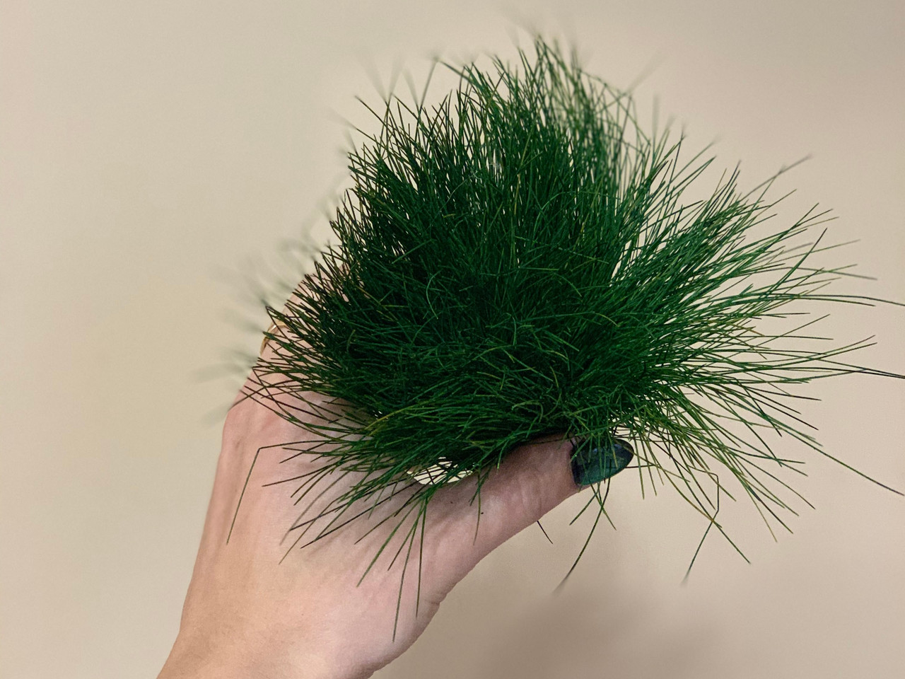 Стабілізована трава Фестука темно-зелена Moss Nature