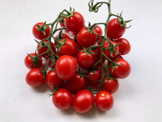 Насіння томату Дредд F1 Spark Seeds 500, фото 1