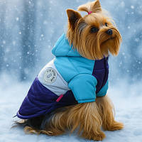 Куртка для собак «Клуб», синій, зимовий, осінній одяг для собак дрібних, середніх порід