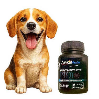 Вітаміни та добавки для собак — для імунітету, шерсті та суглобів