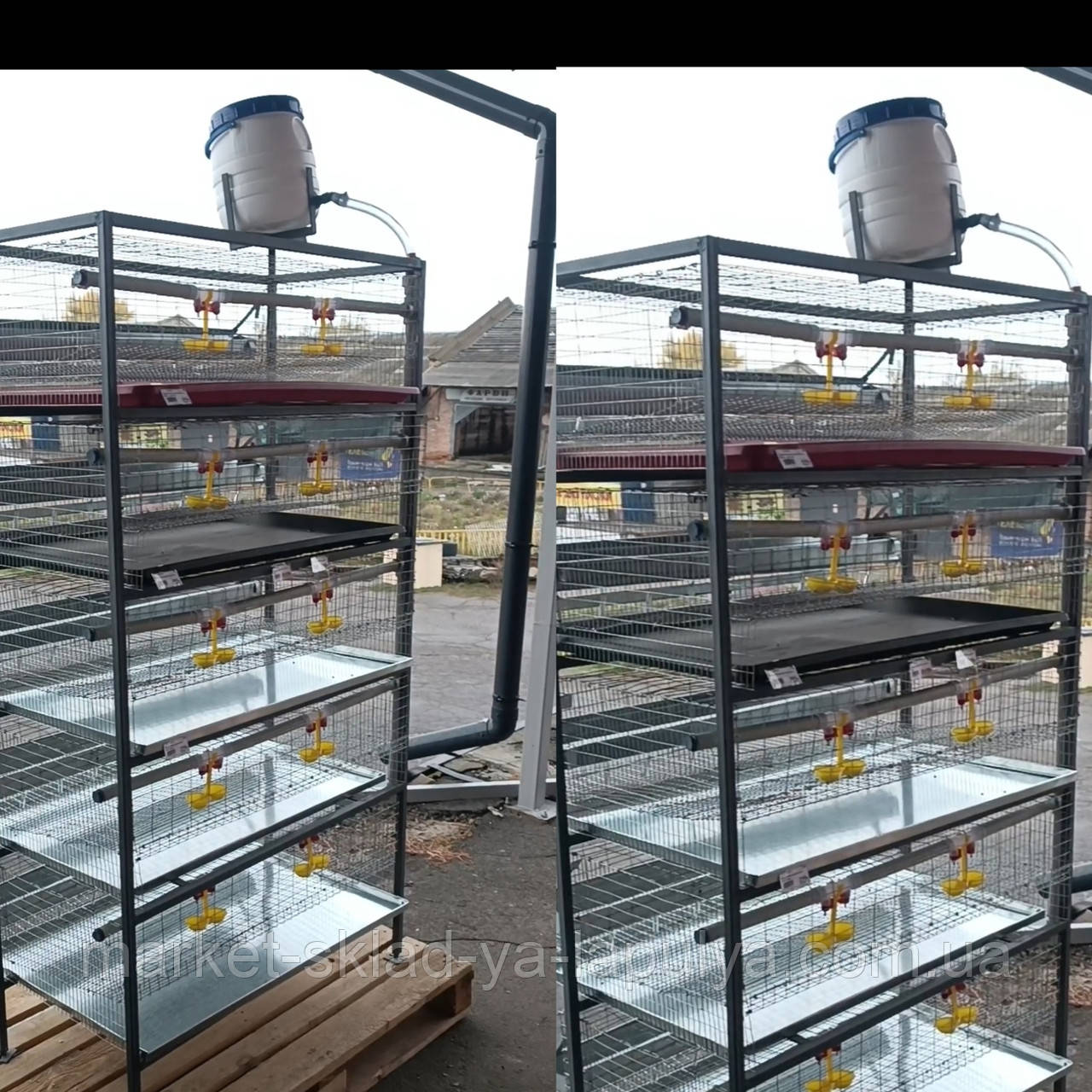 Клітка для перепелів несучок 5 ярусів 1.8 мм, фото 1