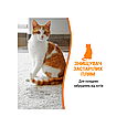 Спрей 8in1 NM Cat Orange Oxy Spray для котів, усунення плям і запахів, 709 мл, фото 4