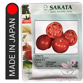 Томат Лінда F1 SAKATA 1000 нас