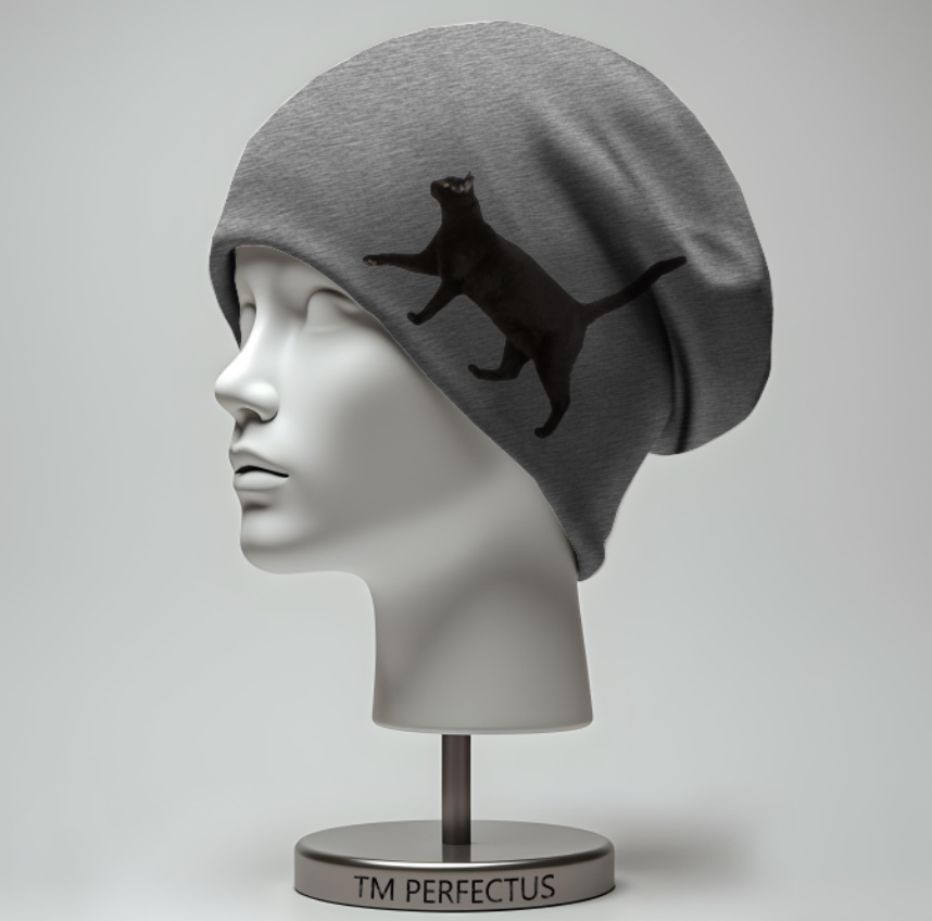 Шапка біні "Чорна кішка кіт у русі" унісекс з принтом ВСІ розміри, фото 1