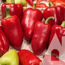 Перець Подарунок Молдови 20г НИЦССА Молдова