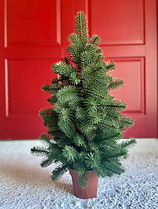 Ялинка лита Premium у горщику 90 см зелена