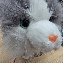 Улюбленець Кошеня сіре на повідці звук ходить облизує запис голосу сенсор 25*15*27см (C 73703), фото 2