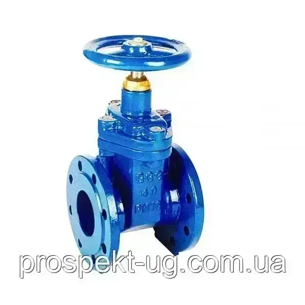 Засувка 30ч39р Ду50 Ру16 з обгумовоним клином чавунна фланцева, фото 1