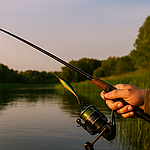 Спінінг на хижака для початківців: повний гайд