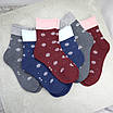 Шкарпетки зимові медичні жіночі 6 пар (без резинки) розмір 36-40 арт.343.6, фото 7