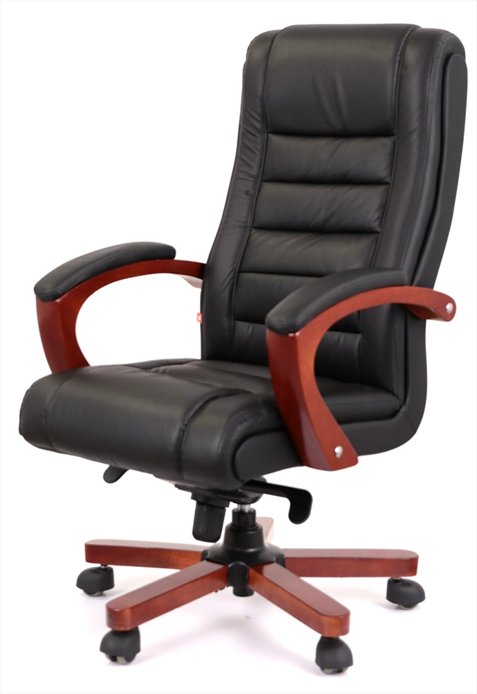 Крісло директорське Гаспар • АКЛАС • ЕХ МB чорний, коричневий, зелений, фото 1