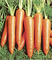 Віта Лонга (50 г) насіння моркви Bejo