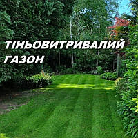 Газон ПАРК Універсал насіння газонної трави садок тінь турбаза ліс дача парк для залуження