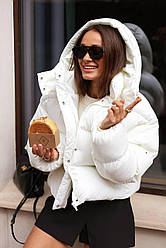 Зимовий жіночий укорочений пуфер глянцева плащівка утеплювач біопух Gf2783