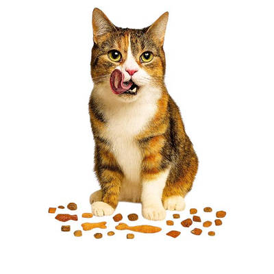 Ласощі для котів