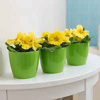 Вазон Магнолія 21см світло-зелений Ламела, фото 4