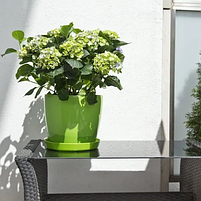 Вазон Магнолія 21см світло-зелений Ламела, фото 3