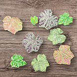 Штучні листя виноград 50 шт в уп, фото 2