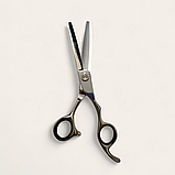 Професійні філірувальні ножиці для стрижки волосся PROLINE CK72RT 6,0", фото 2