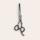 Професійні філірувальні ножиці для стрижки волосся PROLINE CK72RT 6,0", фото 3