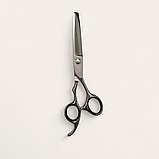 Професійні філірувальні ножиці для стрижки волосся PROLINE CK72RT 6,0", фото 4