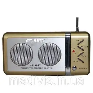 Портативний радіоприймач, колонка з USB+SD+FM, Atlanfa AT-8957, 2-динаміка
