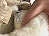 Жіночі UGG Lowmel Sneaker Beige зимові міні УГГІ замшеві бежеві на шнурівці, фото 10